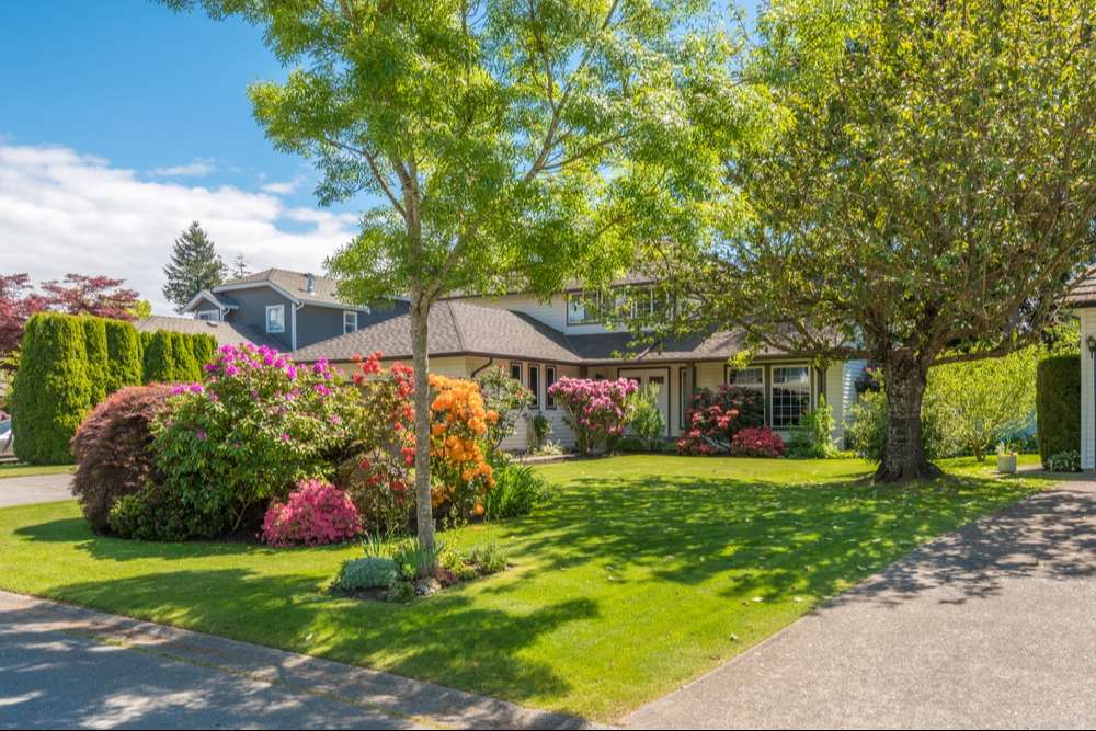 How Do You Level a Bumpy Lawn? The Ultimate Guide